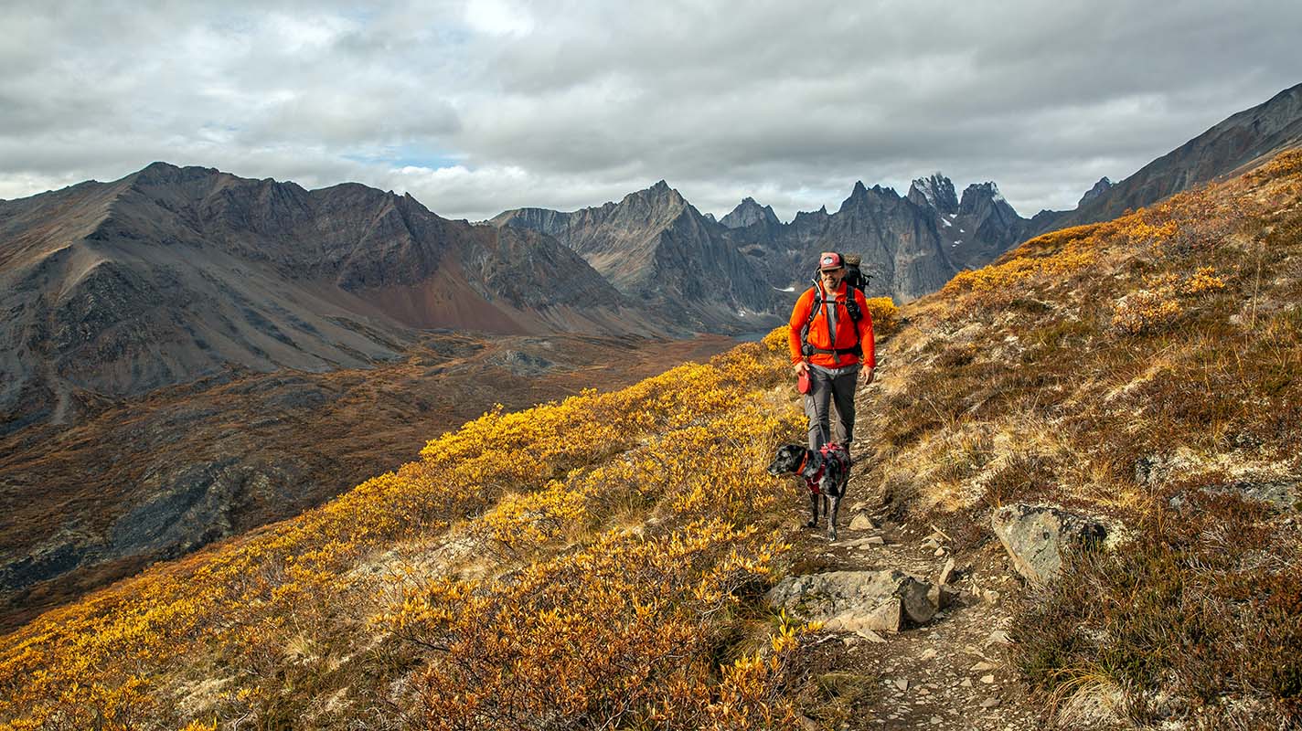 Hiking with a dog in autumn in Tombstone Territorial Park